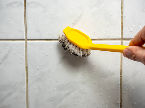 Best Mold Testing and Removal  in Southaven, MS