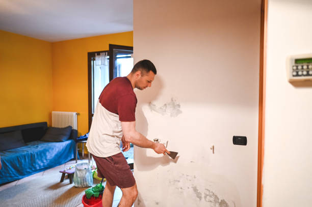 Best Professional Mold Removal  in Southaven, MS